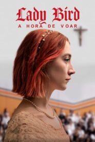 Lady Bird – A Hora de Voar