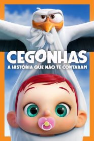 Cegonhas – A História que Não te Contaram