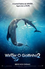 Winter, o Golfinho 2