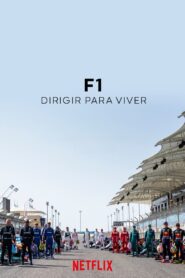 F1: Dirigir para Viver